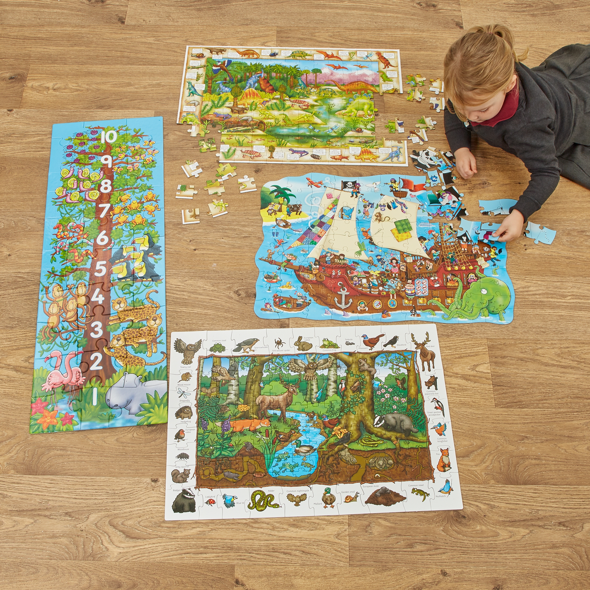 Floor Jigsaw Puzzle - Pack of 4
